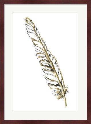 Framed Gilded Swan Feather I Print