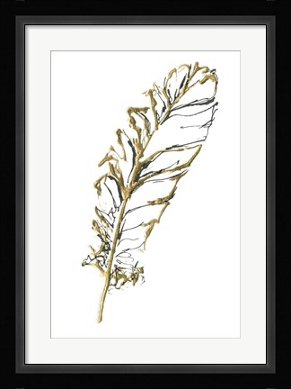 Framed Gilded Turkey Feather I Print