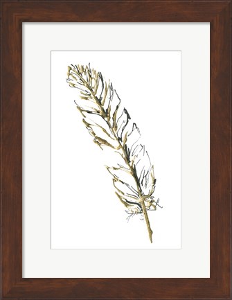 Framed Gilded Turkey Feather II Print