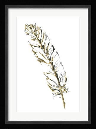 Framed Gilded Turkey Feather II Print