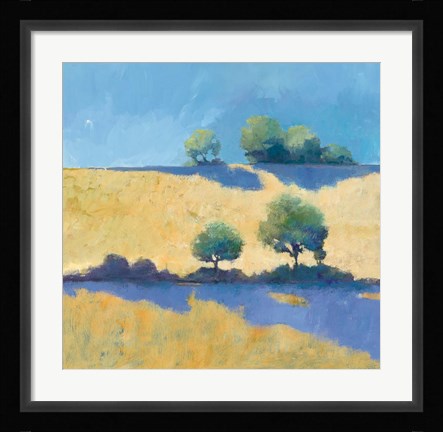 Framed Shadows Print