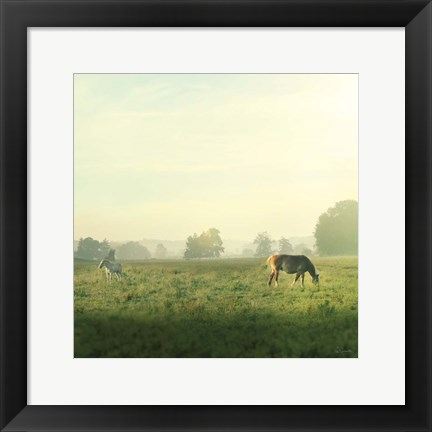Framed Farm Morning I Square Print