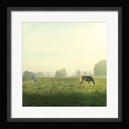 Framed Farm Morning I Square Print