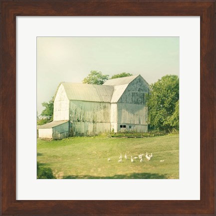 Framed Farm Morning III Square Print