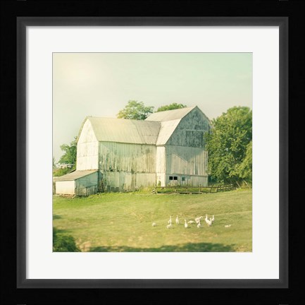 Framed Farm Morning III Square Print