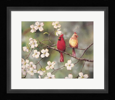 Framed Cardinals Print