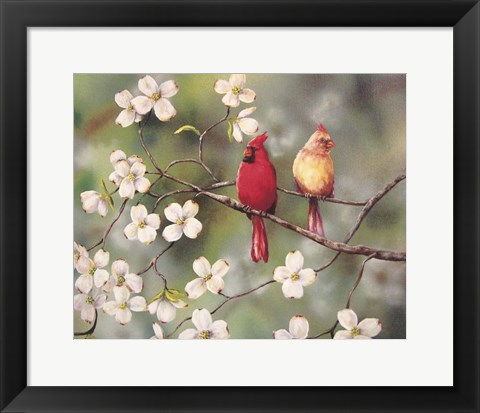 Framed Cardinals Print