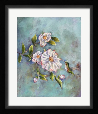 Framed Hummingbird with Camellias Print