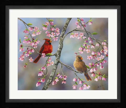 Framed Spring Cardinals Print