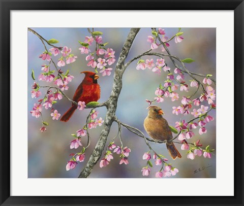 Framed Spring Cardinals Print