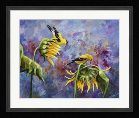 Framed Finches with Sunflowers Print