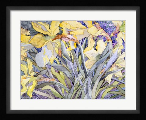 Framed Daffodils, Van Vleck Print