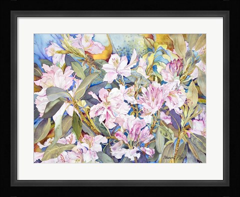 Framed Rhododendrons Print