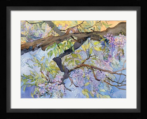 Framed Wisteria, Van Vleck Print