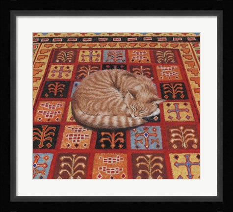 Framed Forty Winks Print