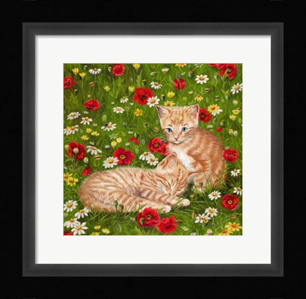Framed Ginger Kittens In Red Poppies Print