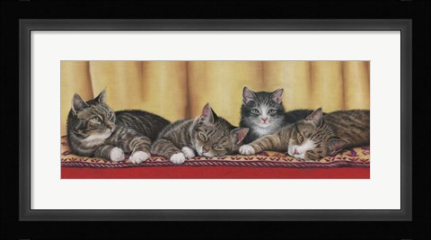 Framed Relaxing Tabbies Print