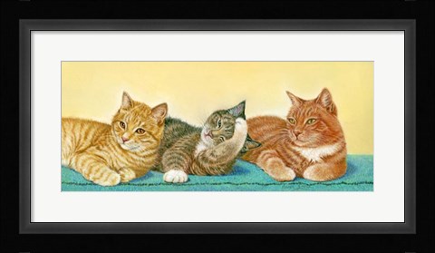Framed Tabbies Print