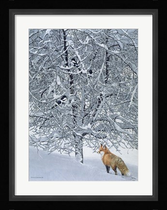 Framed Fox In Snow Print