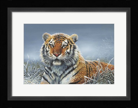 Framed Tiger In Snow Print