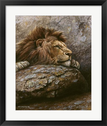 Framed Lion Male 2 Print