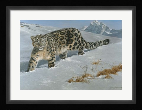Framed Snow Leopard Print