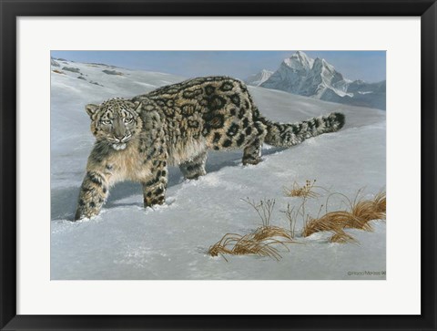 Framed Snow Leopard Print