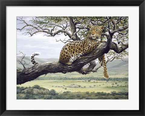Framed Leopard Print