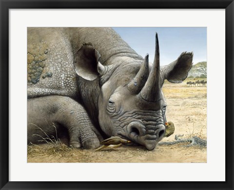 Framed Black Rhino Print