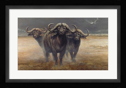 Framed Cape Buffalos Print