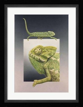 Framed Chameleon Print