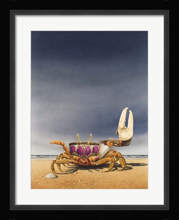 Framed Fiddler Crab Print