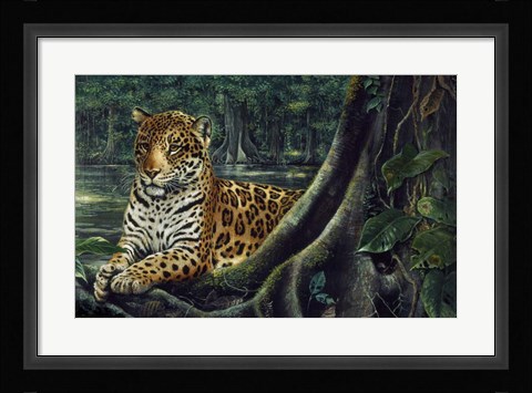 Framed Jaguar By The River Print