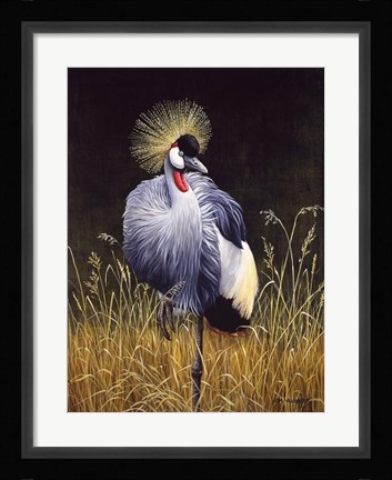 Framed Crowned Crane Print