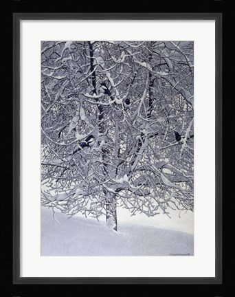 Framed Snow Tree With Magpies Print