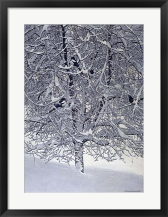 Framed Snow Tree With Magpies Print