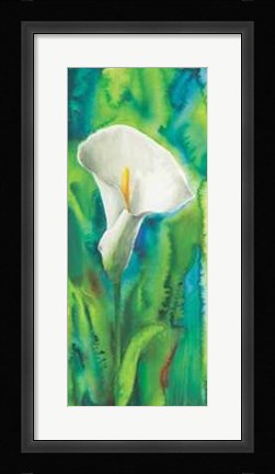 Framed Calla Print