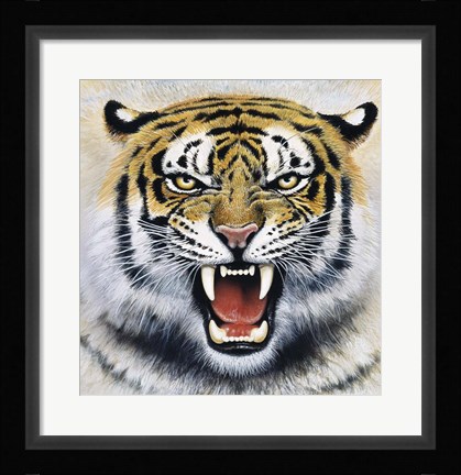 Framed Tiger Print