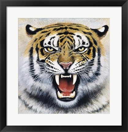 Framed Tiger Print