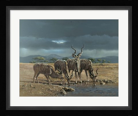 Framed Greater Kudus Print