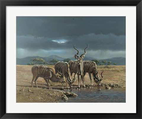 Framed Greater Kudus Print