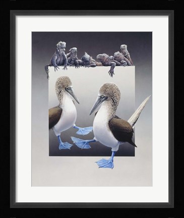 Framed Bluefooted Boobies And Marine Iguanas Print