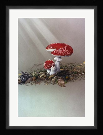 Framed Mushrooms Print