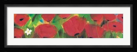 Framed Campo di Papaveri Print