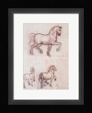 Framed Studi Per un Monumento Equestre Print