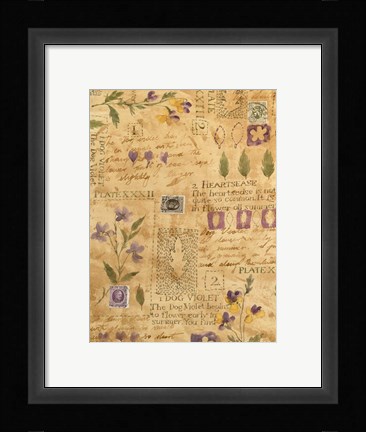 Framed Flower Collage 3 Print