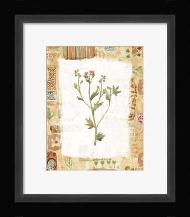 Framed Orange Flower 2 Print