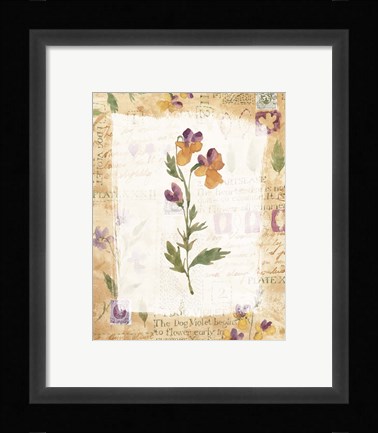 Framed Dog Violet Print