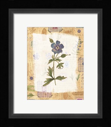 Framed Blue Flower Print