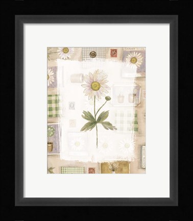 Framed Daisy Print